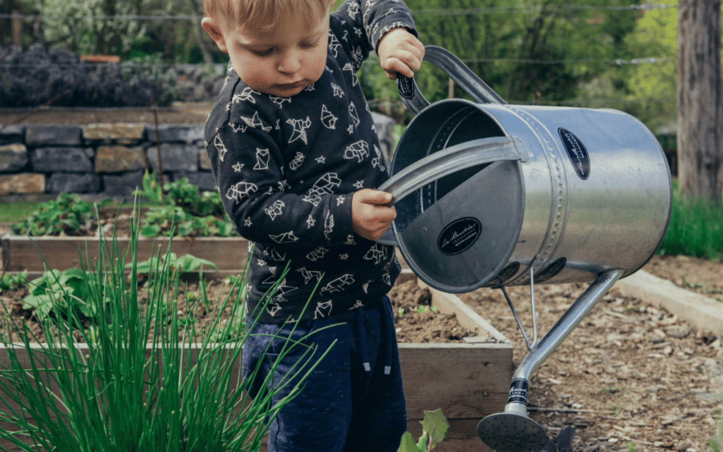 Progetto Senza Titolo 2023 01 30T153236.182 Progetto Senza Titolo 2023 01 30T153236.182